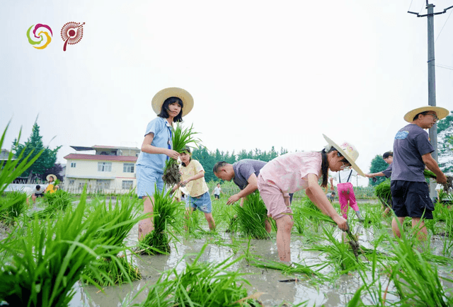 守护千年柏条河 彭州少年沉浸式体验生态研学之旅